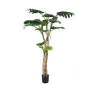 Umjetno drvo monstera 180cm u loncu 13listova