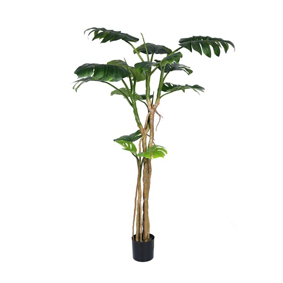 Umjetno drvo Monstera 180cm u loncu 13listova