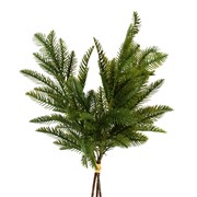 Grana bora sa šišarkama buket x3kom 52cm zelena