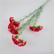 Limonium x4 64cm beauty