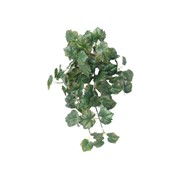 Puzavac vinova loza 50cm zelena