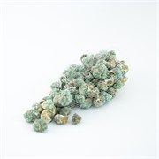 Školjke GS0007 2,5-4cm 500g