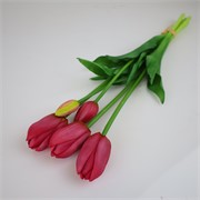 Tulipan x5 47cm sv.purpurna