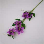 Clematis 78cm lila
