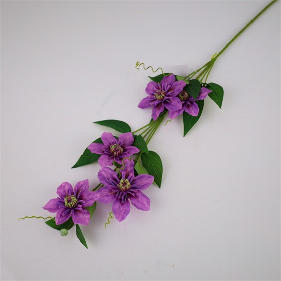 Clematis 78cm lila