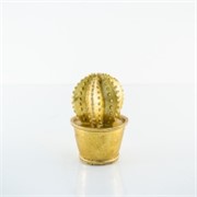 Kaktus, keramika h11 d8cm zlatna