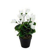 Umjetna ciklama u loncu 38cm/28 listova - bijela