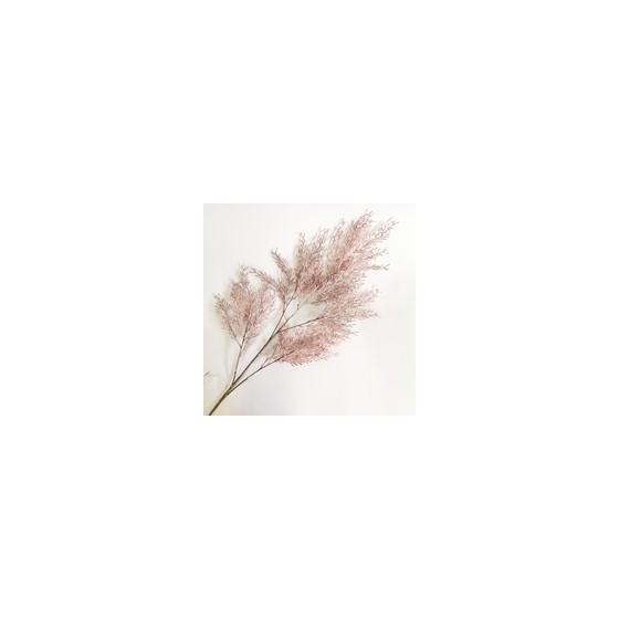 Grana sv.roza 80cm