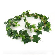 Puzavac girlanda engleski bršljan 190cm zelena/bijela