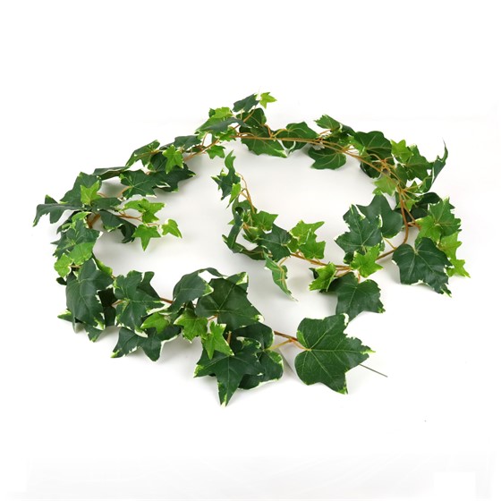 Puzavac girlanda engleski bršljan 190cm zelena/bijela