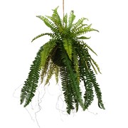 Viseća dekoracija paprat na kugli 60cm