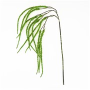 Amaratnt/štir 91cm zelena