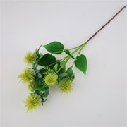 Safflower/Šafranika 79cm sv.zelena