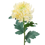 Krizantema 71cm bijela