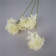 Allium x3 64cm krem