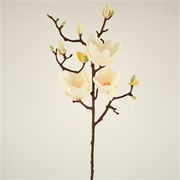 Magnolija 92cm 3c+9p krem