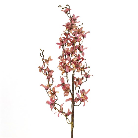 Grana sviba 89cm mauve/zlatna