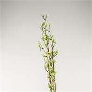 Cvijet grana x3 88cm zelena