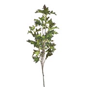 Grana javor 108cm smeđa