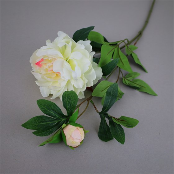 Peonija 68cm 1c+1p bijela