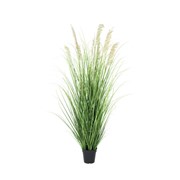 Umjetna trava Setaria u posudi 152cm