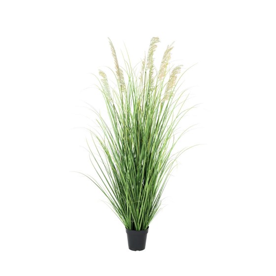 Umjetna trava Setaria u posudi 152cm