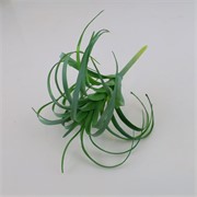 Sukulent 20xh21cm zelena