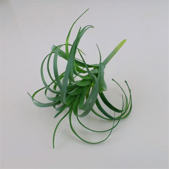 Sukulent 20xh21cm zelena