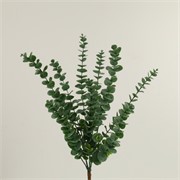 Eukaliptus 60cm zelena/bijela