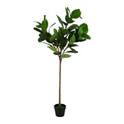 Umjetno drvo Ficus Elastica 160cm zelena