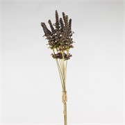 Lavanda x12 suha 44cm t.ljubičasta