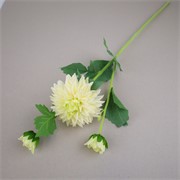 Dalia 1c+2p 61cm RT bijela