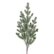 Grana bora zasnježena 80cm