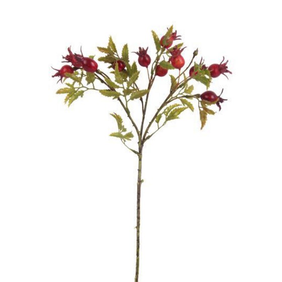 Grana šipka 48cm 10 plodova crvena