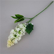 Jorgovan 63cm krem