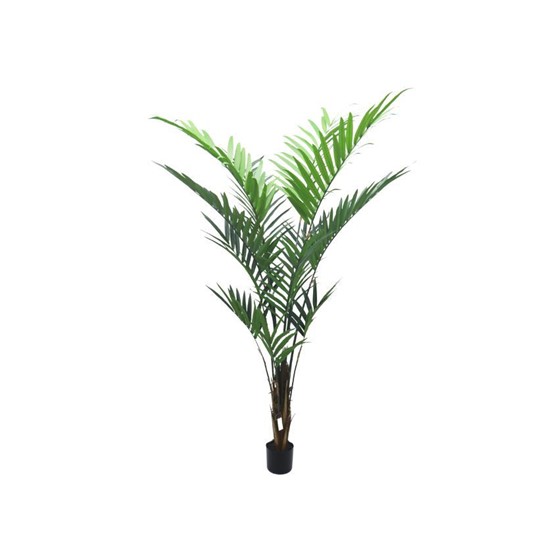 Umjetno drvo Palma Kentia 210cm 259listova