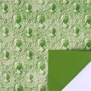 Arak kartopak cameo 70x100cm 10kom zelena