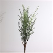 Asparagus 65cm zelena/bijela