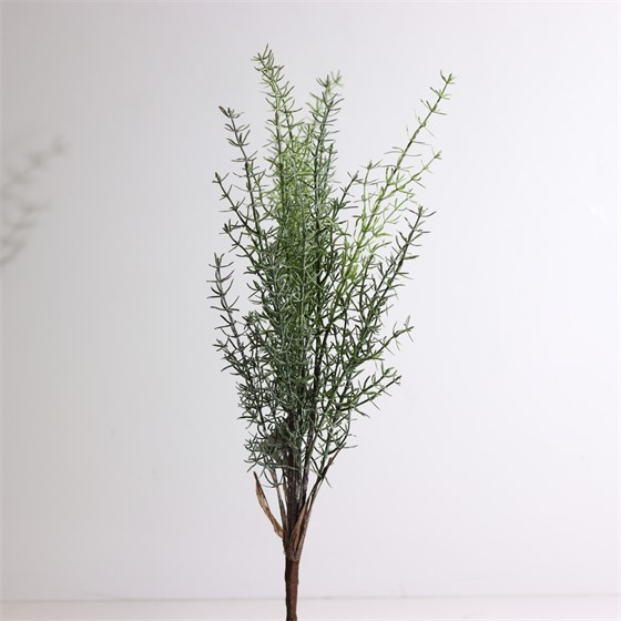 Asparagus 65cm zelena/bijela