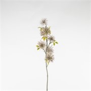 Xantium 53cm lila suha