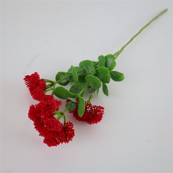 Sedum 56cm beauty
