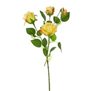 Ruže 3c+1p 65cm žuta