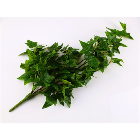 Puzavac bršljan 70cm 106 listova zelena