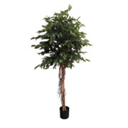 Umjetno drvo Fikus Benjamin 180cm u loncu 42lista
