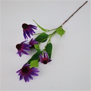 Ehinacea/rudbekija x5 75cm ljubičasta