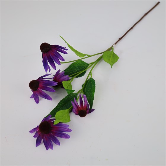 Ehinacea/rudbekija x5 75cm ljubičasta