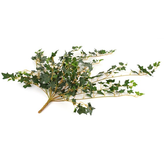 Puzavac engleski bršljan mini 70cm x15 zaprašeni zelena