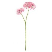 Crown flower 70cm roza/bijela