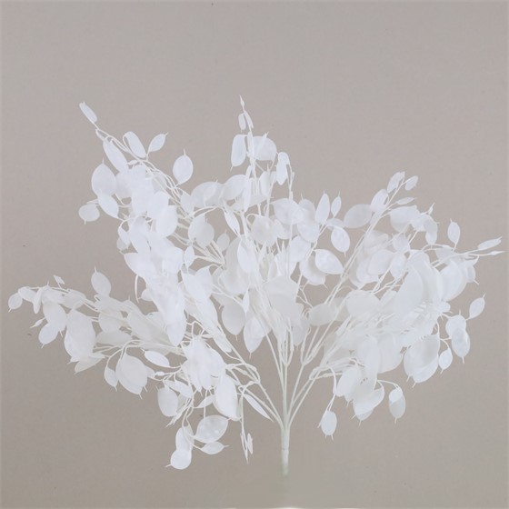 Lunaria/srebrni dolar 51 cm bijela