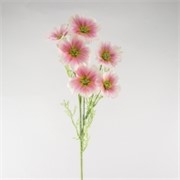 Cosmea/Uresnica x6 77 cm roza